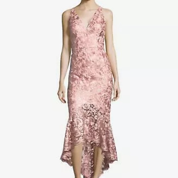 Xscape Dresses & Skirts - Xscape blush lace midi dress